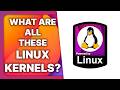 LINUX KERNEL variants explained: Zen, Xanmod, TKG, RealTime, Liquorix...