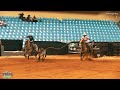 Star Team Roping #9 no Rosilhão de confiança Cláudio Renato. Cristal Country @powerropes2434