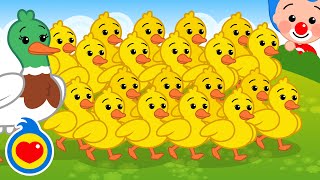 Fifty Little Ducks 🐥🐥 | Playful Learning | ♫ Plim Plim | Pre-K Nursery Rhymes