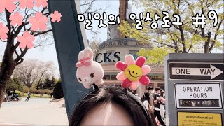 🧸자취일상Vlog*양념게장 만들기, 에버랜드, 폴인더뷰, 서대문 안산 벚꽃구경, 베란다캠핑🏕