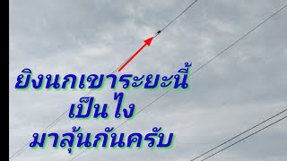 ออกล่าหาเลาะยิงนกตอนเช้า กับบรรยากาศทุ่งนาหน้าฝน หมานบ่หมานมาลุ้นเลยครับ