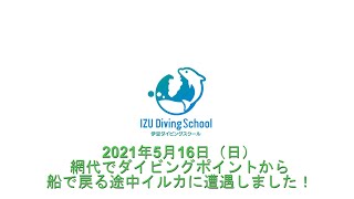 網代でイルカと並走！20201516