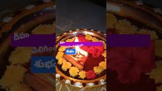 పోలి స్వర్గం దీపాలు 2024 | Poli swargam pooja #haashikavlogs #shorts #poliswargam #deepam #దీపం