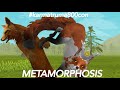 METAMORPHOSIS|wildcraft meme|#karmatrauma800con/read desc