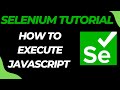 Executing JavaScript Code in the Browser using Selenium