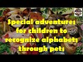 Alphabet Adventure with Animals