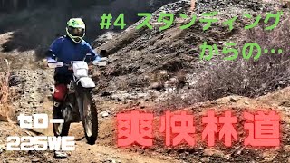 【林道走行#4】【オフロード初心者】今日もセローで林道へ、皆んなで走れば楽しい。隊長セロー225weが大活躍！