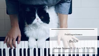 「春の声」/J.シュトラウス2世/Piano/Frühlingsstimmen/ Johann Strauss II/ 『皇室アルバム』テーマ音楽