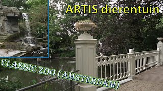 KLASSIEKE DIERENTUIN || ARTIS Amsterdam Review