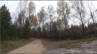 Осень в городе Осенняя поездка на дачу