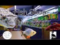 Fish Shop Tour UK | The Water Garden