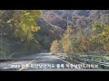 309 2022년 만추 미산 낭만가도 홍록 열놀 치유낭만드라이브