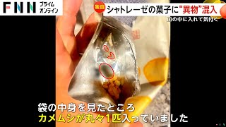 【独自】口から虫の足が…揚げ餅にカメムシ1匹混入か？シャトレーゼ「防虫対策の徹底を図る」パッキング工程で混入と推測