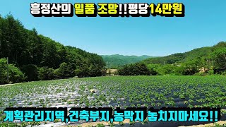 [매번:24-15]흥정산의 일품 조망 마을 끝자락 700고지 계획관리지역 건축부지 농막부지 평당14만원 마지막 기회 놓치지 마세요!!하늘부동산 010.5494.3211