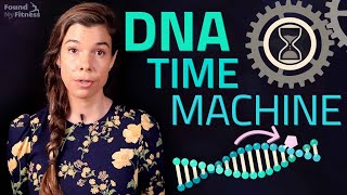 Epigenetic Aging: How old is your DNA?