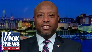 Tim Scott fires back at MSNBC host's disparaging comments about his race