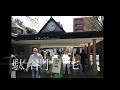 sakura 桜 mittenプロジェクト 新宿御苑shinjuku gyoen garden