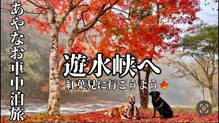 あやなお車中泊旅〜紅葉見に行こうよう〜