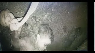 لحظة إخراج الطفل ريان متوفياً من البئر بعد 5 أيام من الحفر وسط بكاء المحيطين بالمكان
