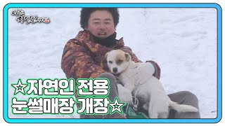 ☆자연인 전용 눈썰매장 개장☆ 칠복이도 즐기는 동심 가득 썰매! MBN 230104 방송