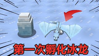 Minecraft：超真实生存33！第1次孵化冰龙，我承认我紧张了【麻花游戏解说】