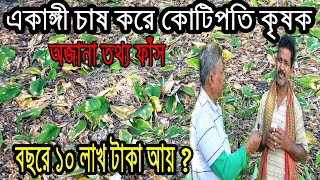 একাঙ্গীভুই  ৩৩ শতকে ১ লক্ষ 50 হাজার টাকার বেশি আয় , উচ্চ মুল্যের ফসল।অবিশ্বাস্য লাভজনক চাষ