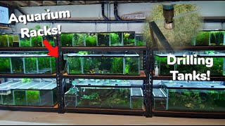 Fish Room Aquarium Racks I Use, How To Drill Tanks!