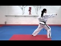 White Belt basic techniques - Saju Makgi and Saju Jirugi (ITF TKD Taekwon Do)