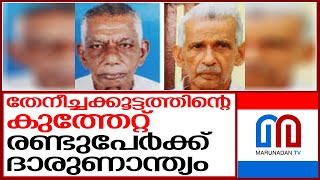 തേനീച്ചക്കൂട്ടത്തിന്റെ കുത്തേറ്റ് രണ്ടുപേര്‍ മരിച്ചു | kannur