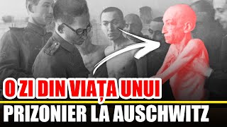 O Zi Din Viata Unui Prizonier La Auschwitz