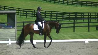 Will Coleman \u0026 Chin Tonic HS OT Dressage