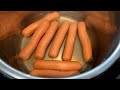 Instant Pot Hot Dogs Recipe - How To Cook Hot Dogs In The Instant Pot - So Quick & Easy! 🌭😋