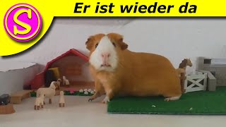 Playmobil Kurzfilm Deutsch - Er ist wieder da😂(Video Wunsch💓)