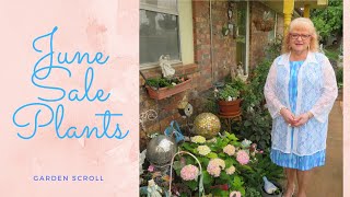 Garden Scroll.  June Sale Plants