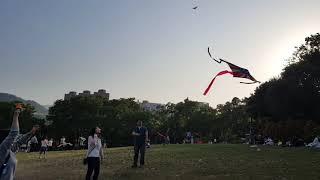 太子店 USA Kite (CS Kites) 大埔海濱公園放風箏