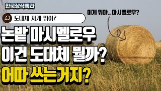 논밭 마시멜로우, 공룡알? 도대체 이게 뭘까? (곤포사일리지) 3분에 알아보기