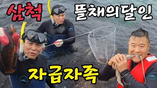 뜰채의 달인!!횟집 사장이 뜰채 하나로 삼척 바다에서 자급자족 먹방!!역대급ㅋㅋ