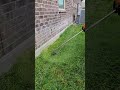 Grass Trimming