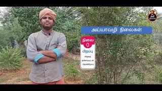 அய்யா அருளிய சத்திய வழி | Stages of Ayyavazhi | Kani Isaiyagam