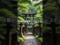 ２０２５年オススメの神社５選　 神社　 お寺　 歴史　 history