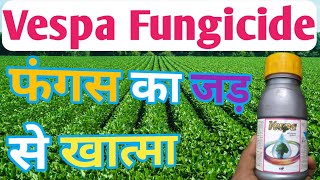 Vespa Fungicide/ Propiconazole+difenconazole/propiconazole fungicide/Vespa Fungicide Dose or Price