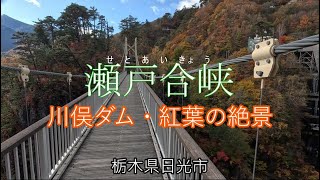 川俣ダム～紅葉の絶景・瀬戸合峡（せとあいきょう）～2024.11.7