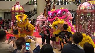 郭氏功夫金龍醒獅團 Kwok's Kung Fu \u0026 Dragon Lion Dance Team 太古廣場 Pacific Place 20180221 初六