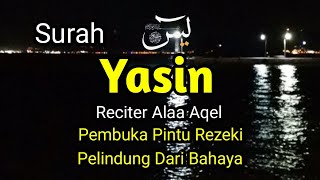 Surah Yasin , Amalan Pembuka Pintu Rezeki dan Pelindung dari 𝘉𝘢𝘩𝘢𝘺𝘢 | Alaa Aqel