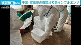 千葉・富里市の養鶏場で鳥インフルエンザ　6万3000羽を殺処分へ(2024年4月29日)