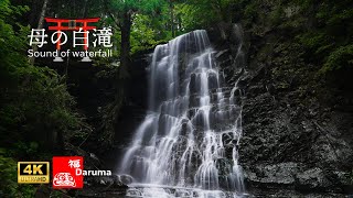 母の白滝 【4K | 自然音で整う・ASMR】