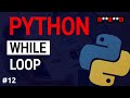 Python tutorial #12: While Loop in Python