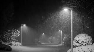 Soothing Snowfall. Sounds of a Light Blizzard at Night. Relaxing Winter Ambience for Sleep.  | Bli
