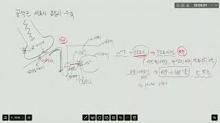 골격근 세포의 흥분과 수축