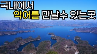 서울에서 2시간이면 충주호 절경과 월악산이 보이는 악어봉 ㅣ 노지차박의 성지 수주팔봉 및 출렁다리 수안보 족욕 온천 ㅣ Travel in Korea